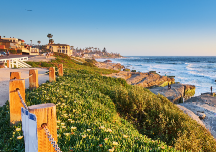 beach image